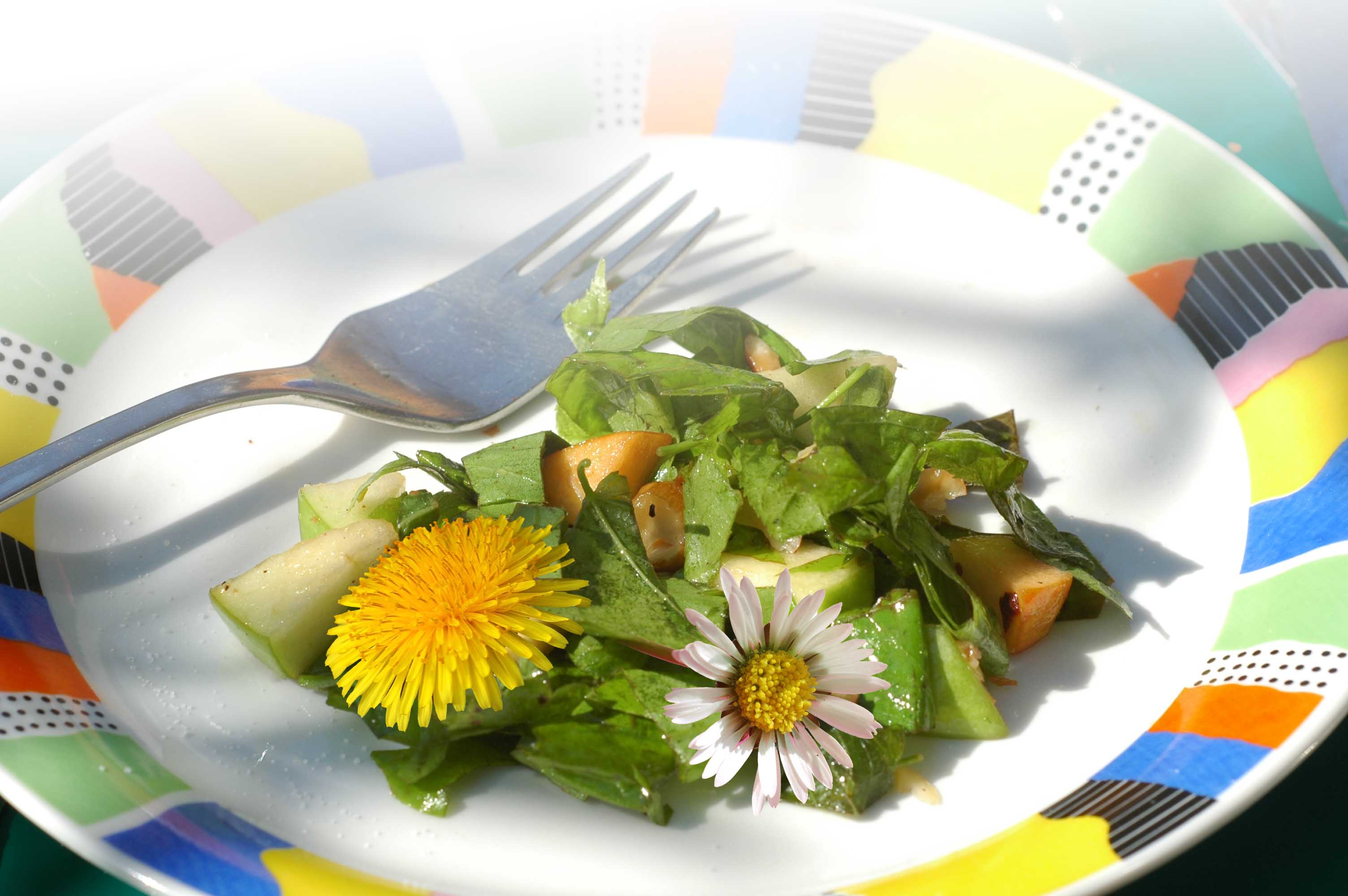 Wildkr&auml;utersalat